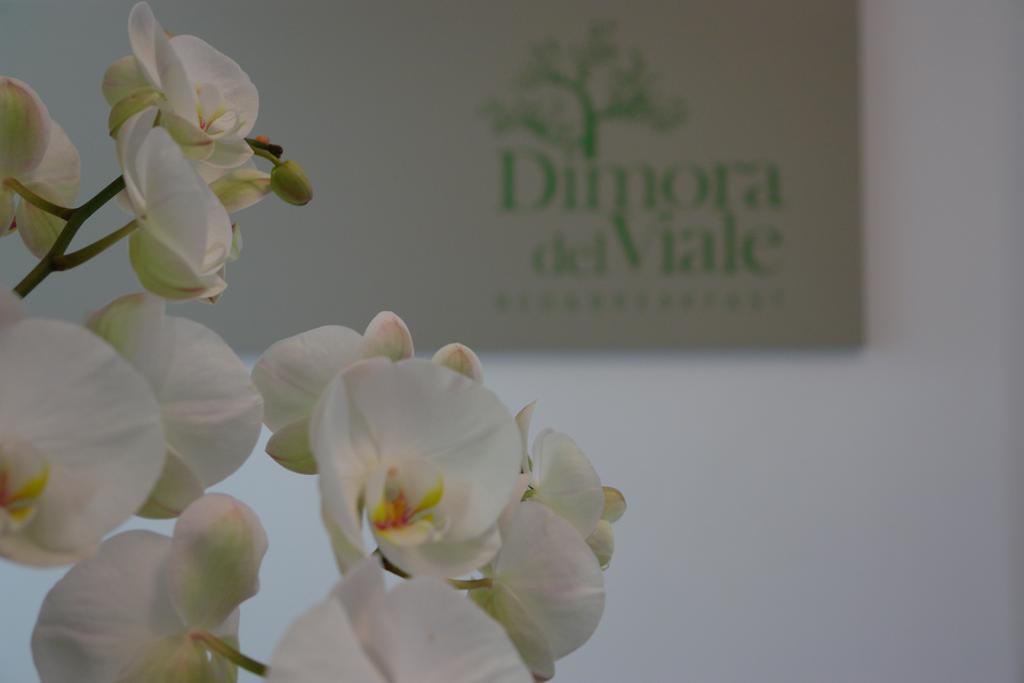 Dimora Del Viale Bed & Breakfast Agrigento Exterior photo